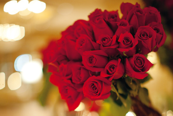 Sillatea San Valentín