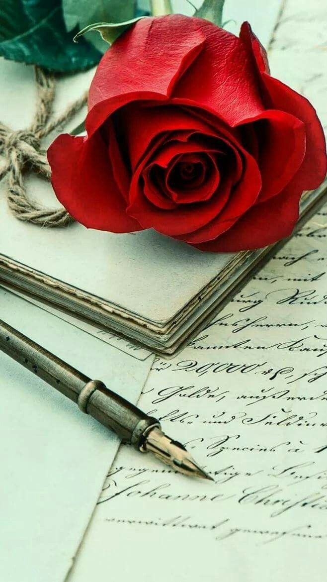 Sant Jordi en Sillatea 2019