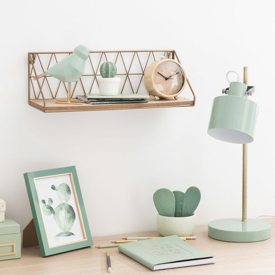 Sillatea y los cactus decorativos Sillatea y los cactus decorativos