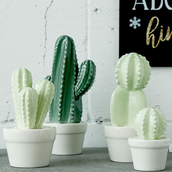 Cactus decorativos en Sillatea Cactus decorativos en Sillatea