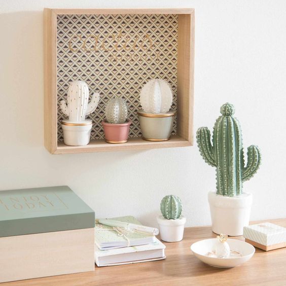 Cactus decorativos en Sillatea Cactus decorativos en Sillatea