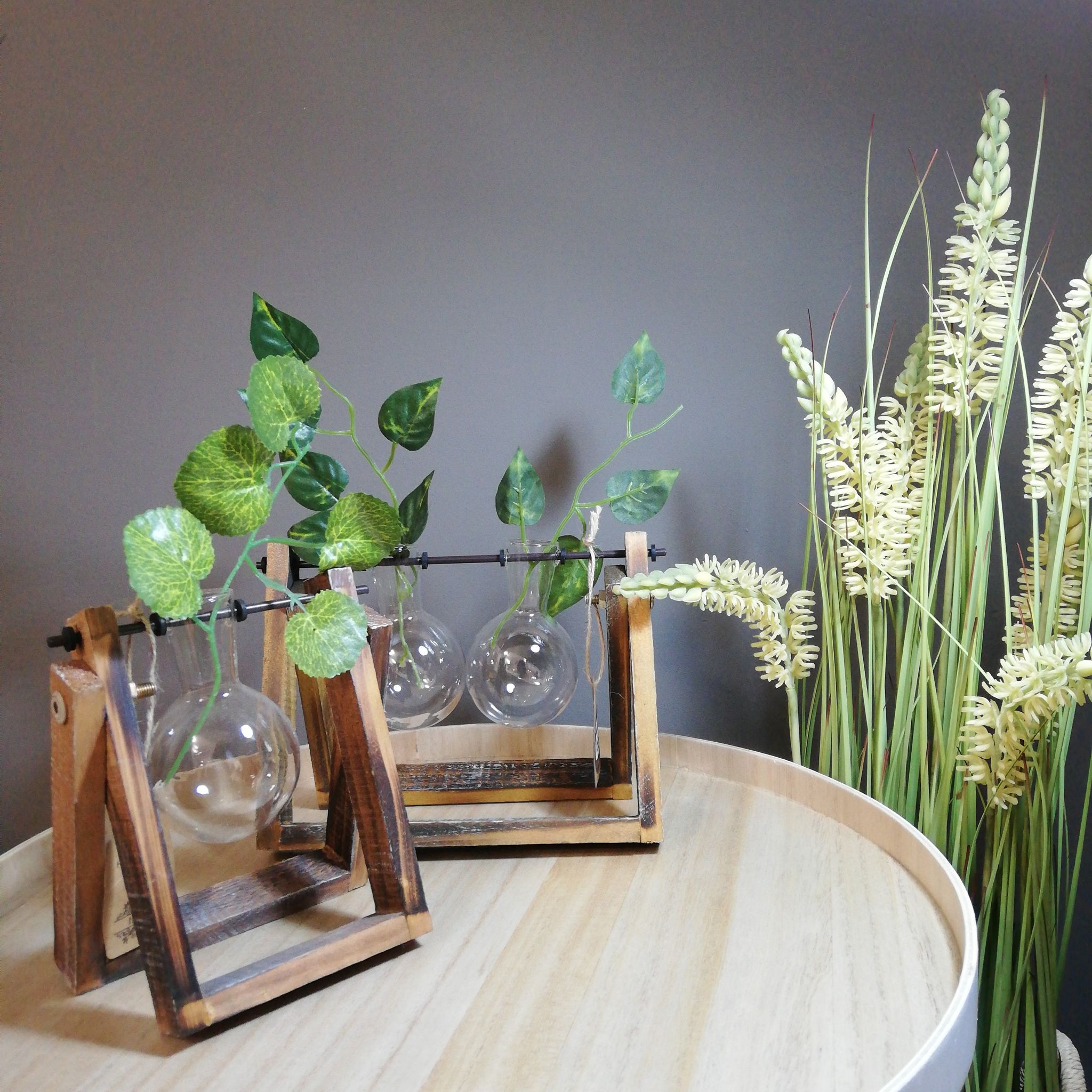 plantas de invierno Sillatea