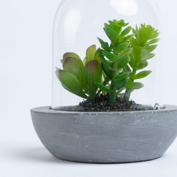 planta artificial Sillatea