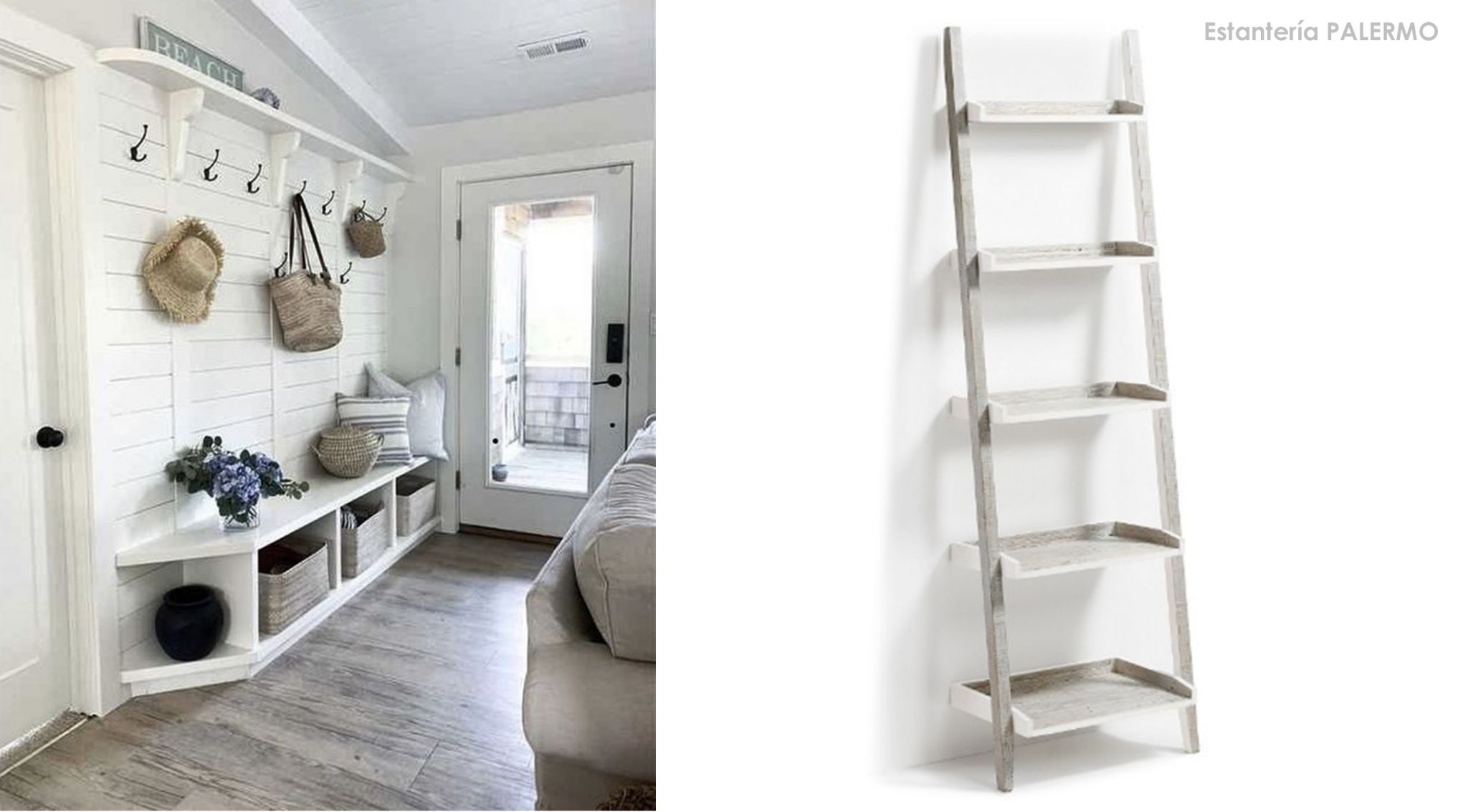 Sillatea talasofilia 2020