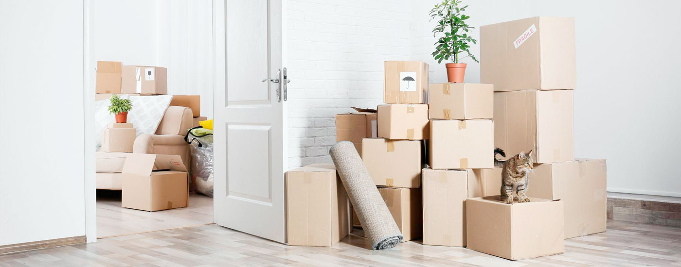 Envío y recogida de muebles