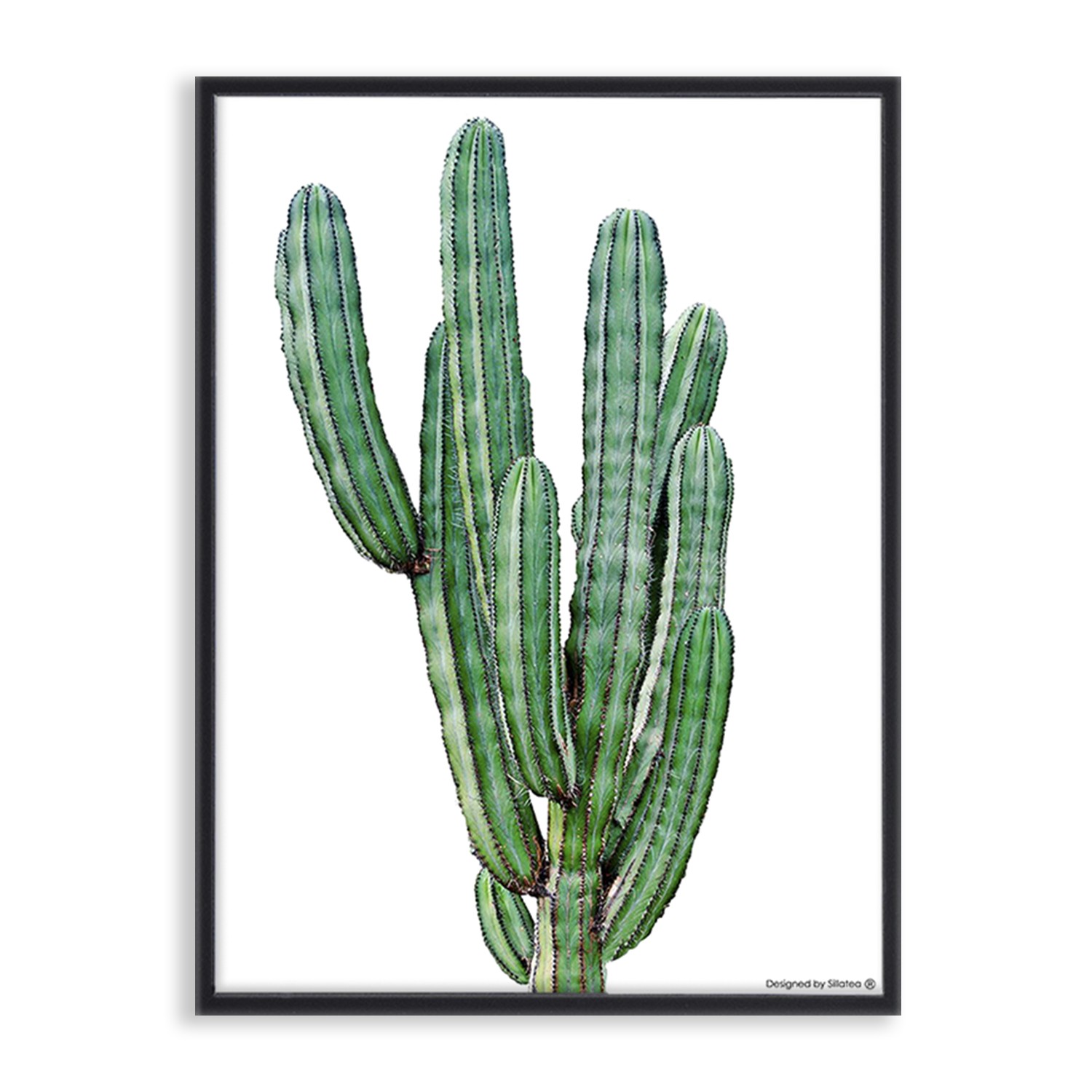 Lámina con marco CACTUS PINCHO 30×40