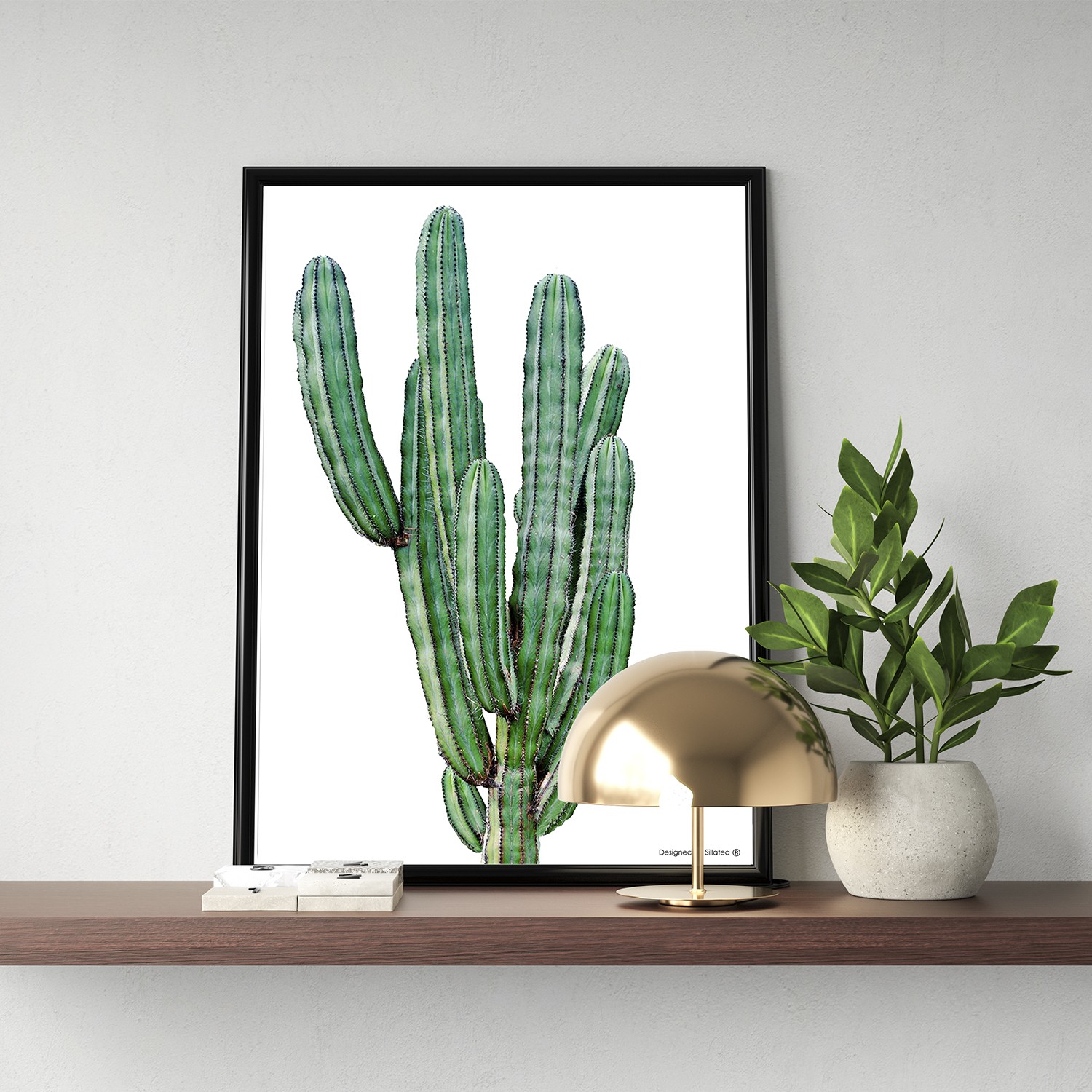 Lámina con marco CACTUS PINCHO 30x40