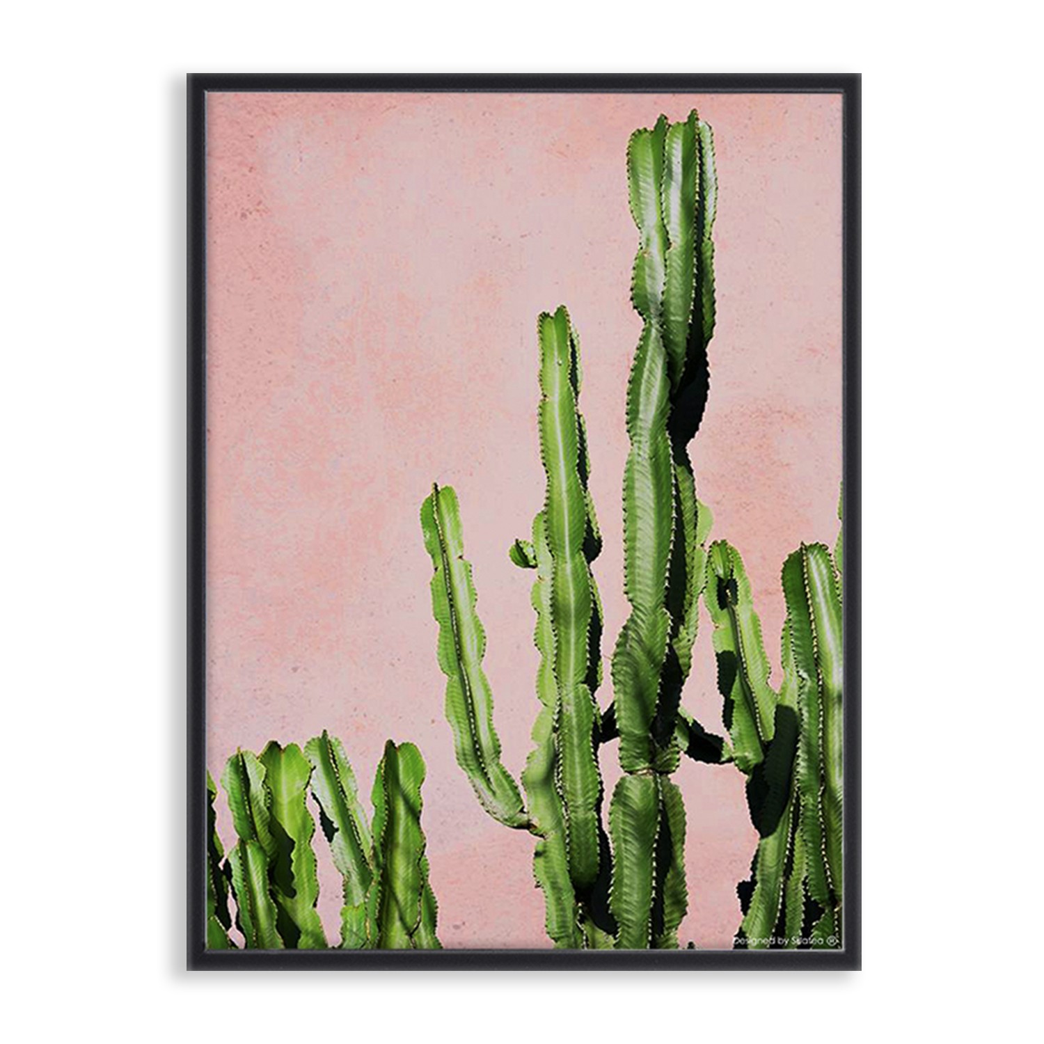 Lámina con marco CACTUS PINK 30×40