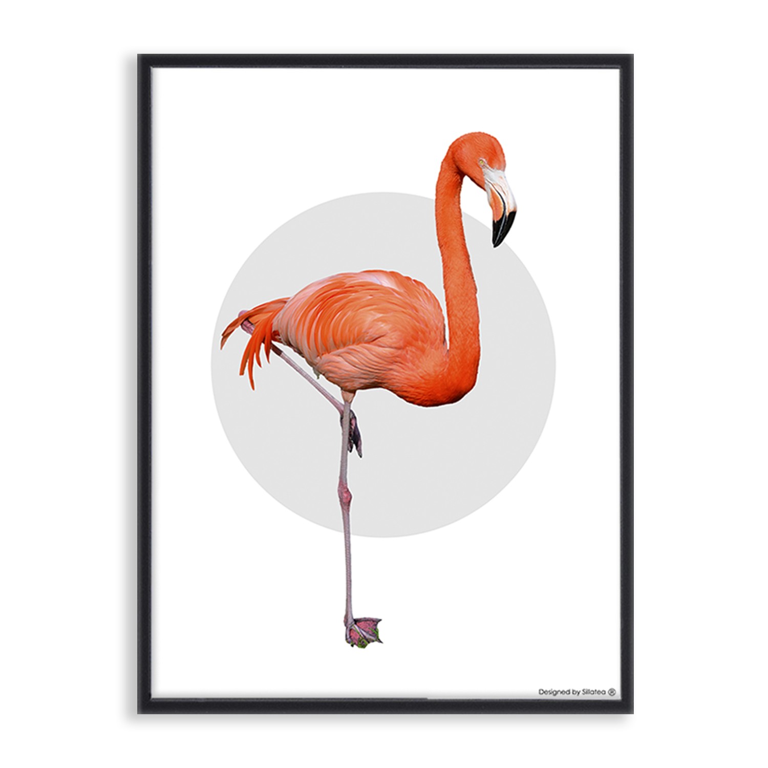 Lámina con marco FLAMENCO 30×40