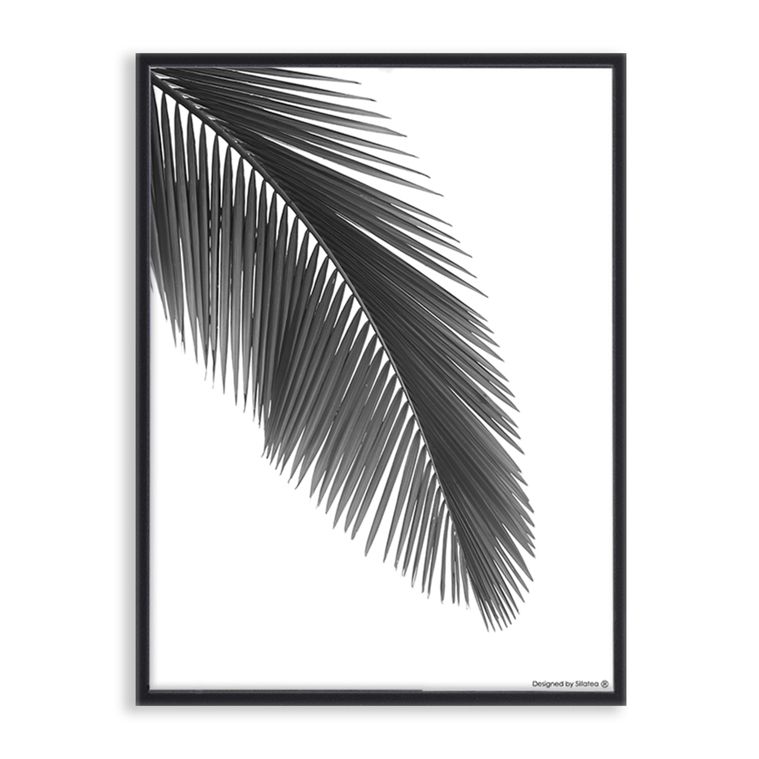 Lámina con marco PALM LEAF 30×40