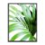 Lámina con marco GREEN PALM 30×40
