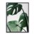 Lámina con marco MONSTERA PLANT 30×40