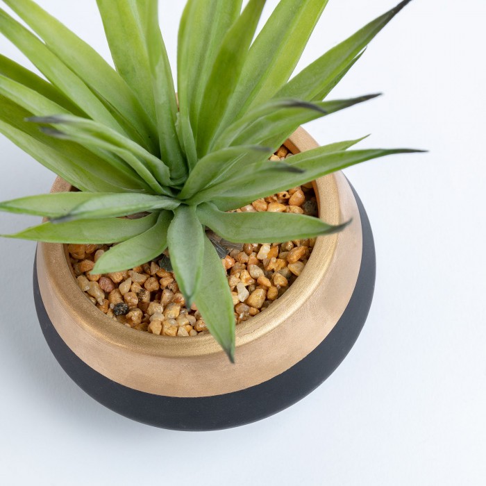 Planta artificial FURCRAEA  - cerámica Negro y Dorado