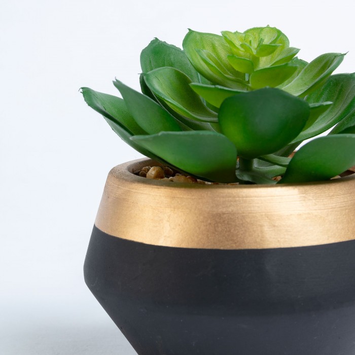 Planta artificial BEJEQUE  - cerámica Negro y Dorado