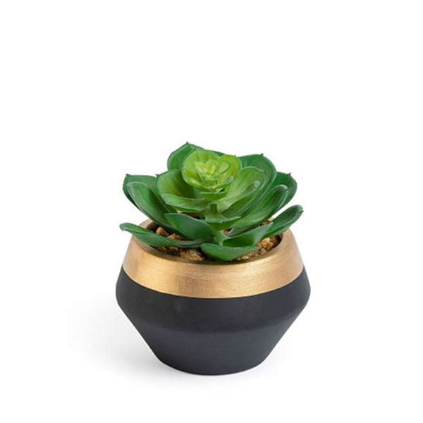 Planta artificial BEJEQUE  – cerámica Negro y Dorado