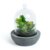 Planta artificial SUCUL – cristal