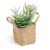 Planta artificial SUCULINO en cesto de lino