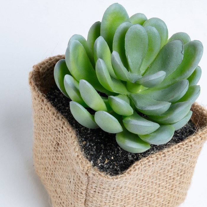 Planta artificial LINOSUCU en cesto de lino
