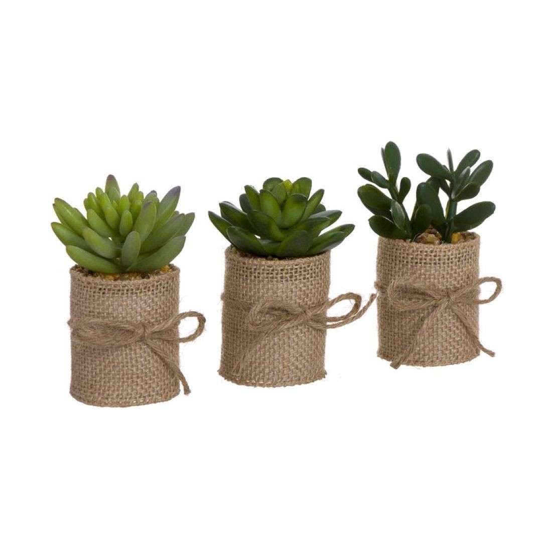 Set de tres cactus TAYU – yute