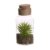 Planta artificial BOTBA – cristal