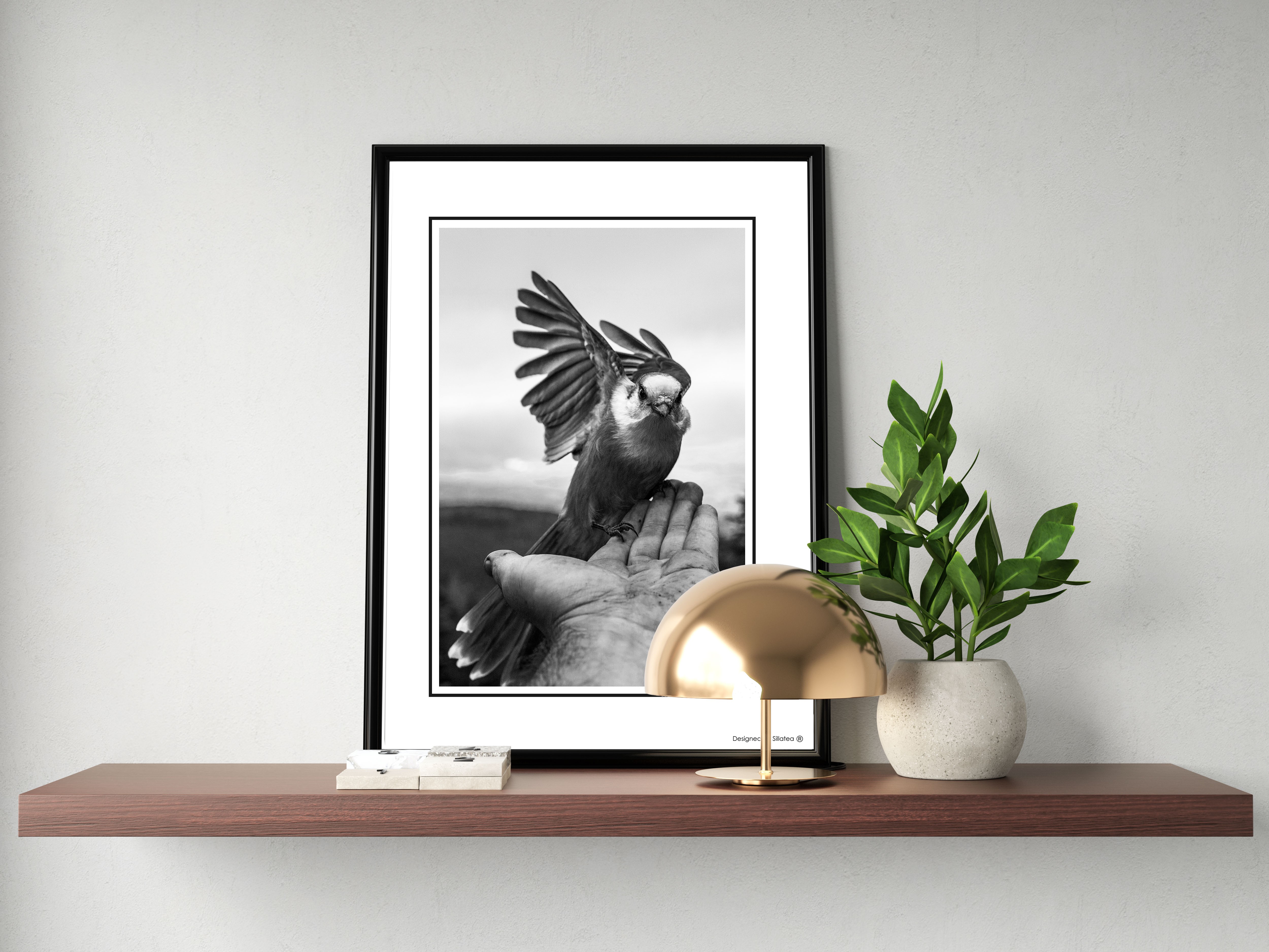 Lámina con marco BIRDHAND 30x40