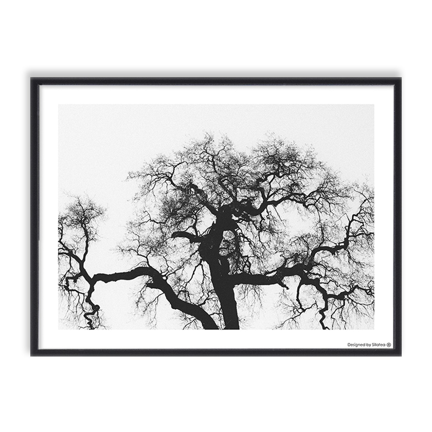 Lámina con marco BLACKTREE 30×40