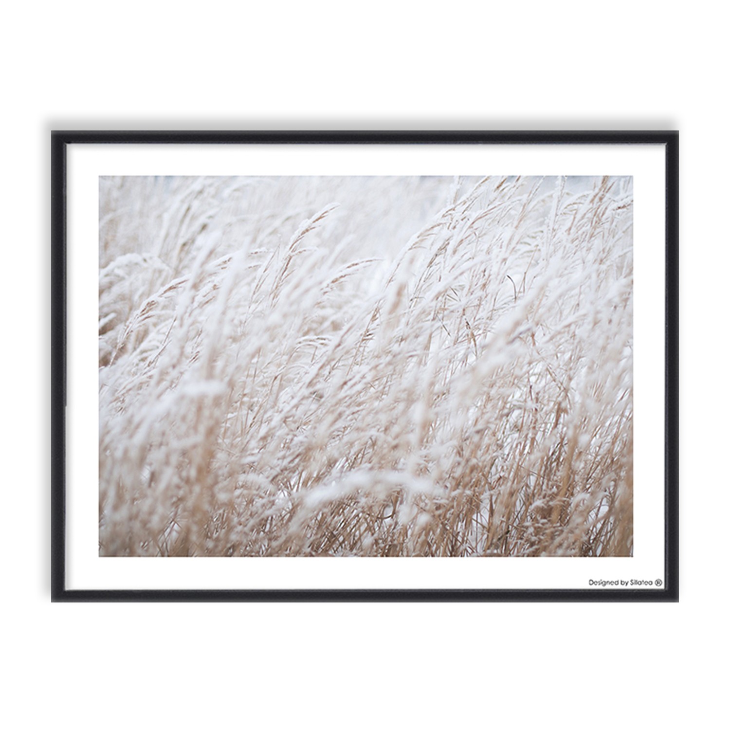 Lámina con marco WHEAT 30×40