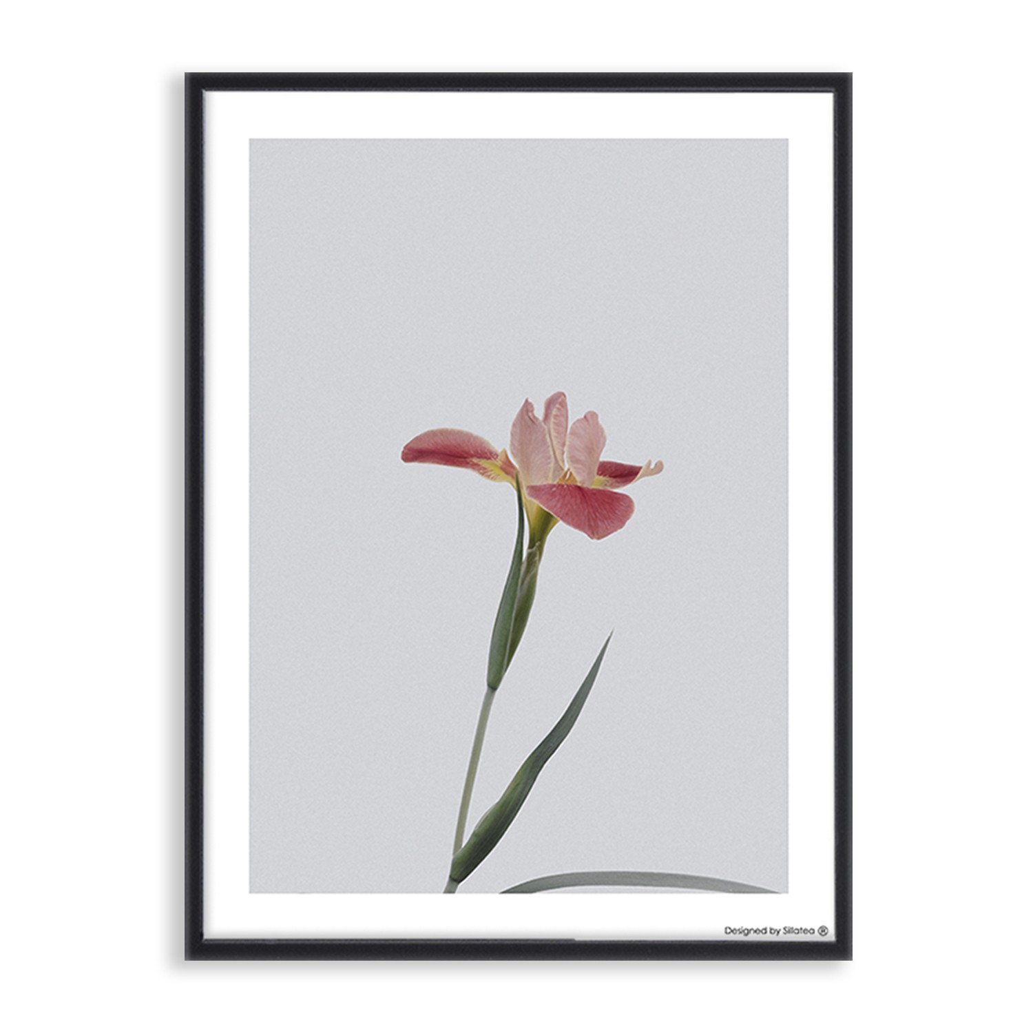 Lámina con marco LILY FLOWER 30×40