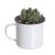 Cactus MUG NONNA – latón