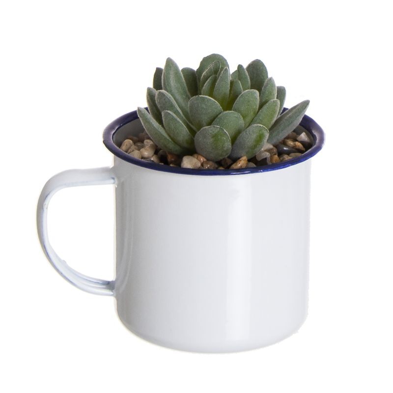 Cactus MUG NONNA – latón