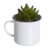 Cactus MUG NONNO – latón