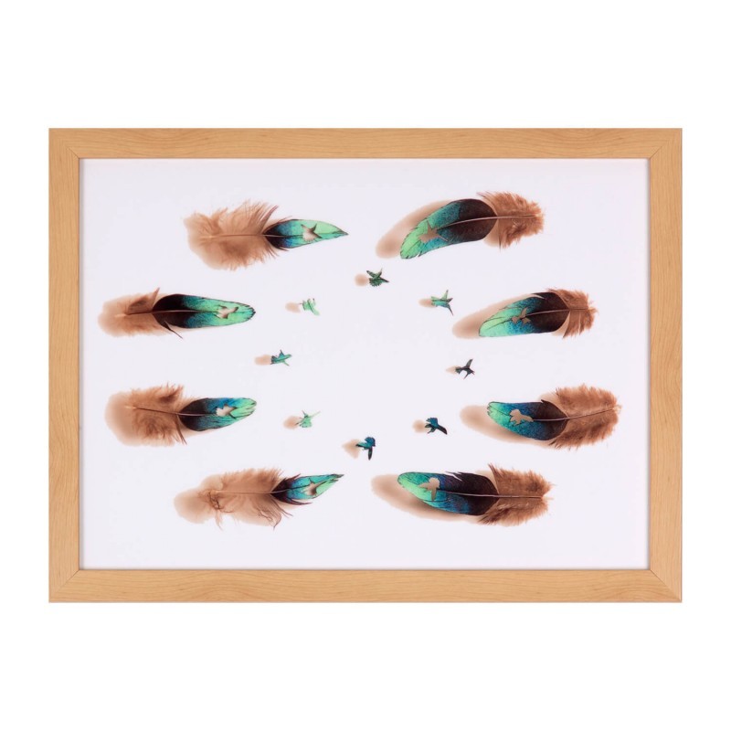Cuadro FEATHERS 40×30 – marco Roble
