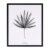 Cuadro HOJA DE PALMA 25×30 – marco Negro