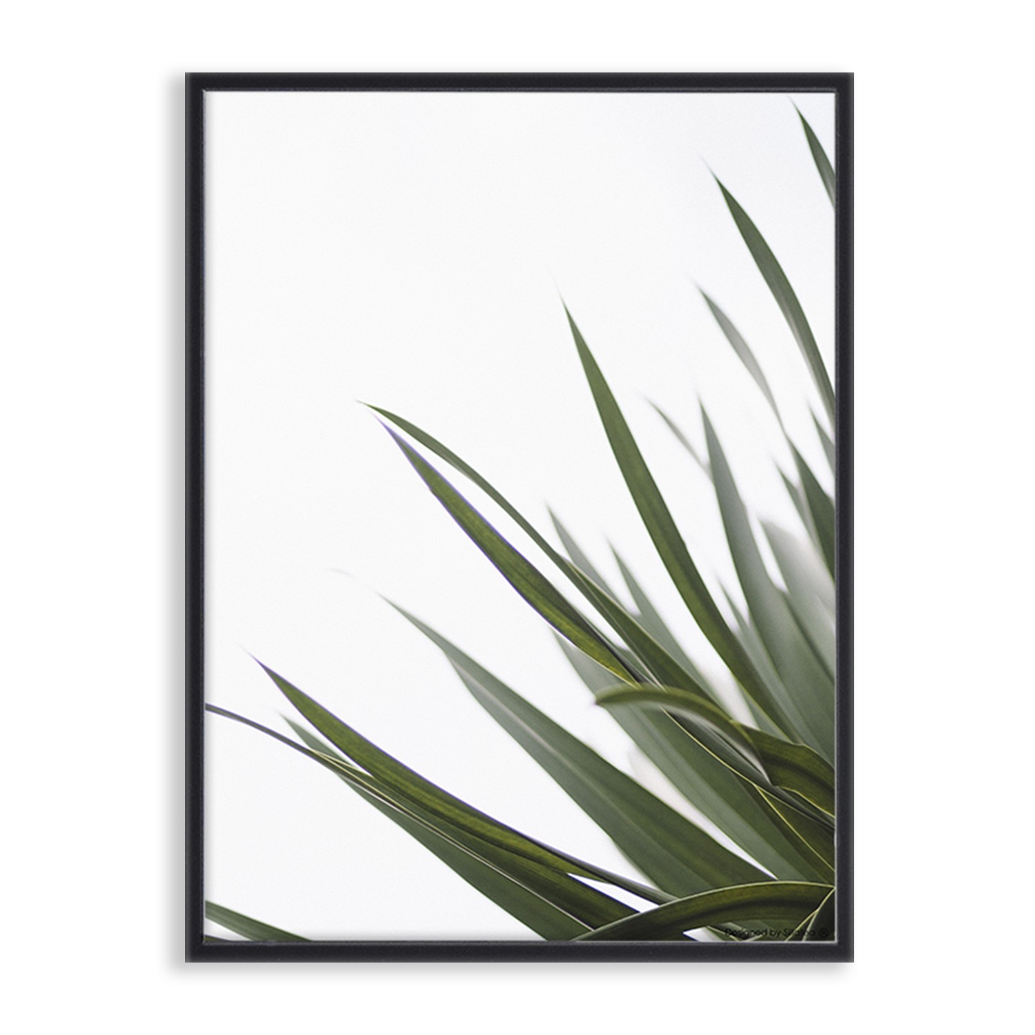 Lámina con marco SIMPLE LEAF 30×40