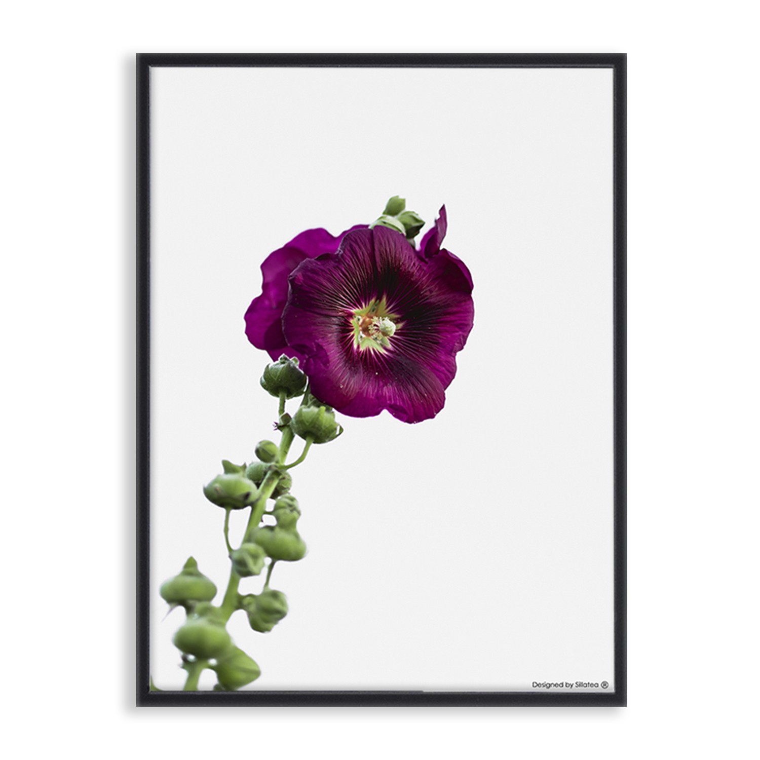 Lámina con marco VIOLET FLOWER 30×40