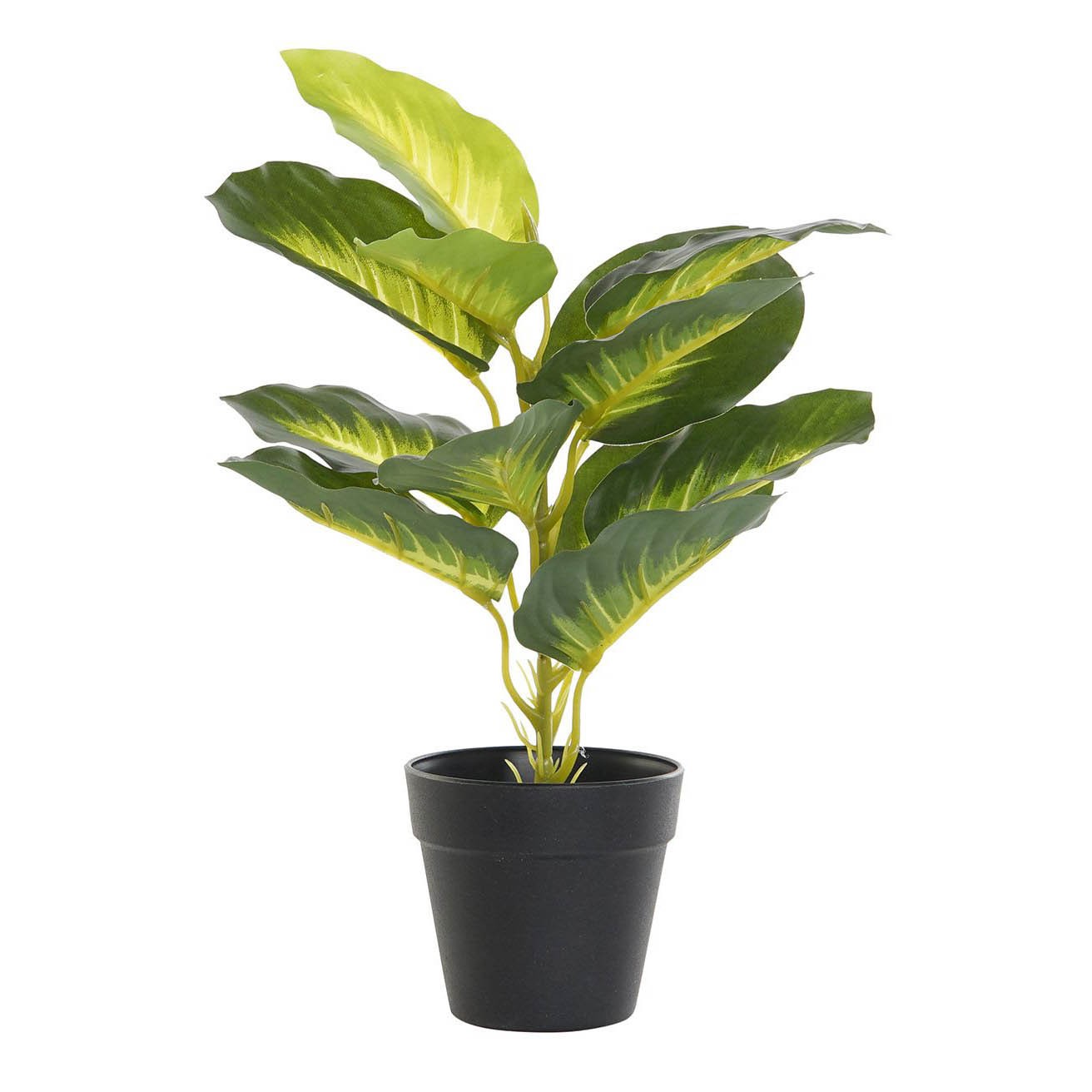 Planta artificial DIEFEMBAQUIA en maceta de plástico