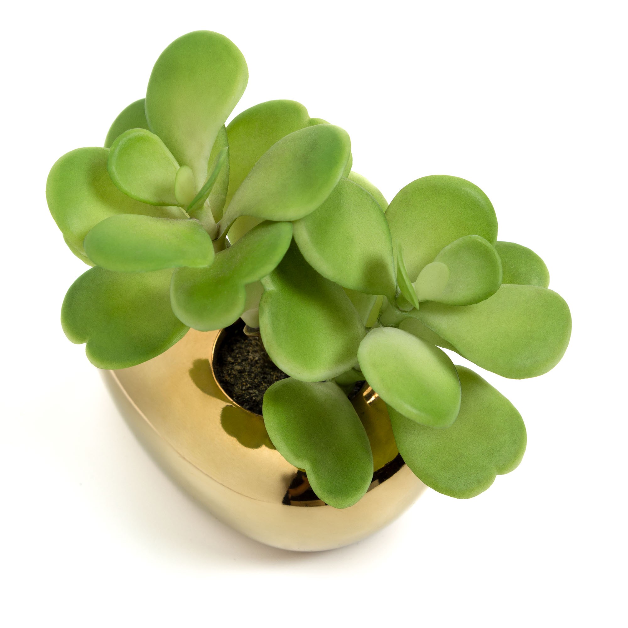 Planta artificial BEJEQUE  - cerámica Negro y Dorado