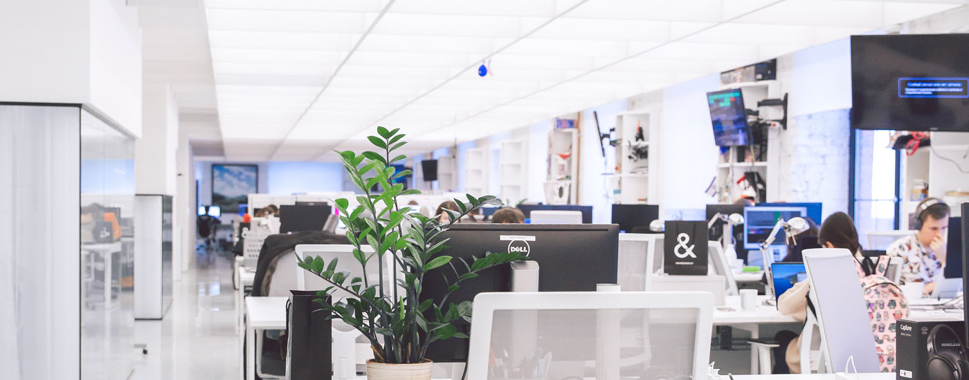 Sillatea Profesional